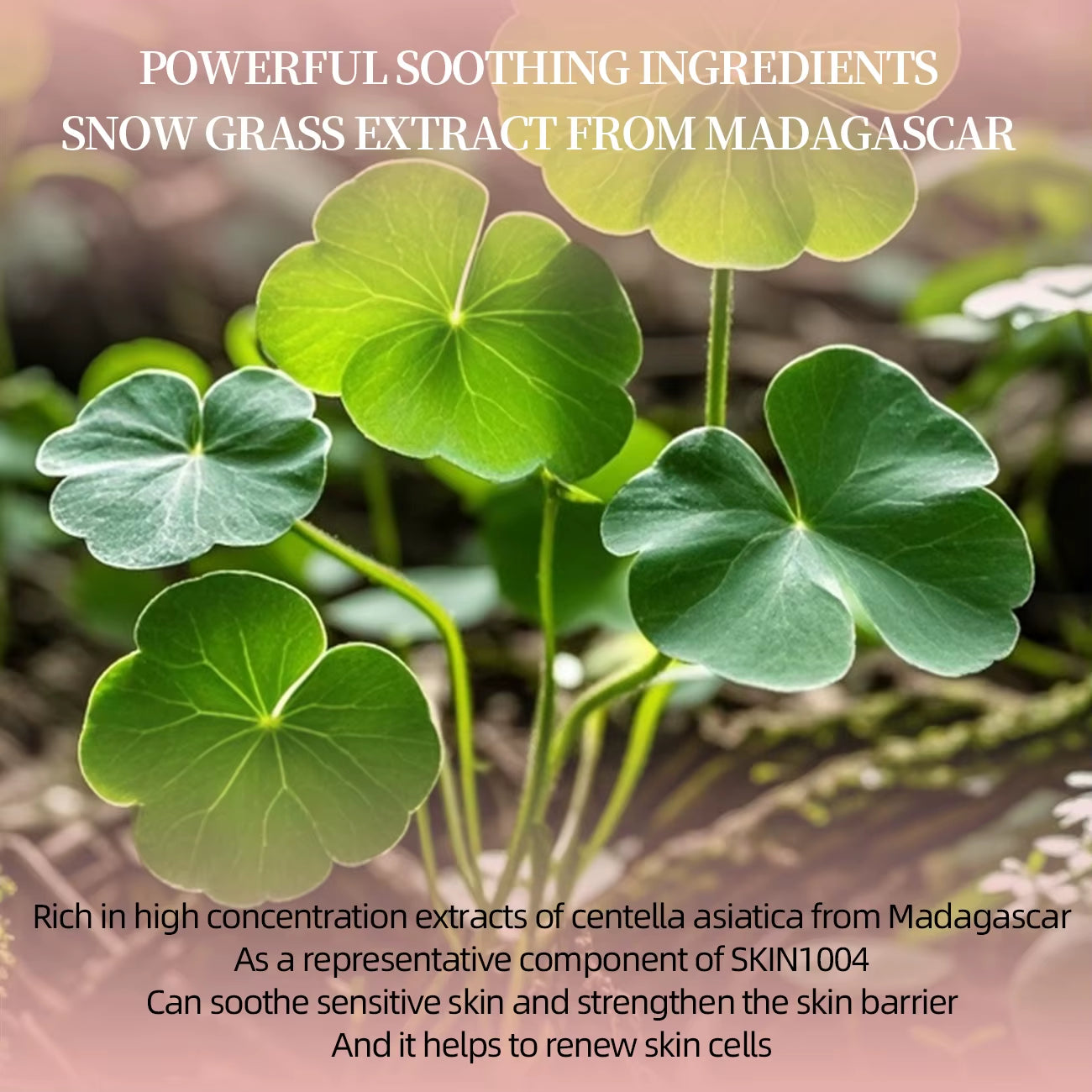 Himalaya Essence, Face Cleanser, Skin Hydrating Toner, Moisturizing Skin Deep Cleansing, Moisturizing, Skin Care Products